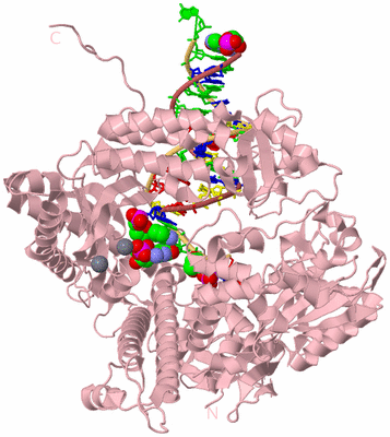 Image Biological Unit 3