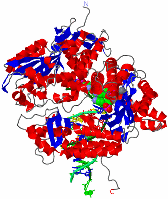 Image Asym./Biol. Unit