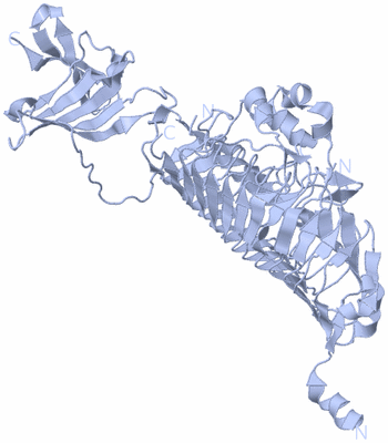 Image Biological Unit 1