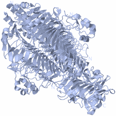 Image Biological Unit 2