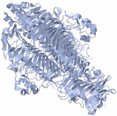 Image Biological Unit 2