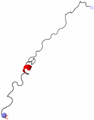 Image NMR Structure - model 1