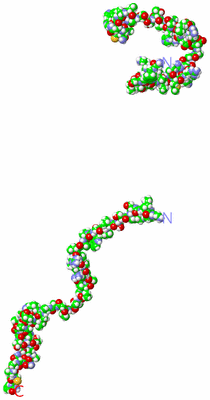 Image NMR Structure - all models