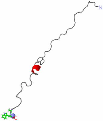 Image NMR Structure - model 1, sites