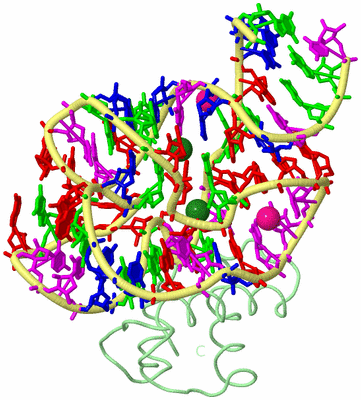 Image Biological Unit 2