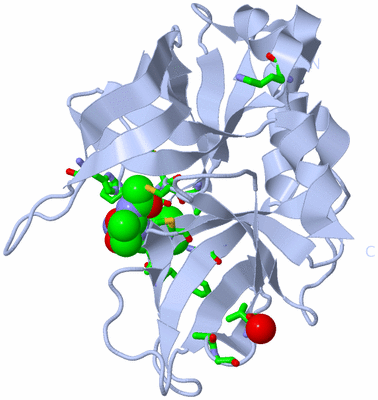 Image Biol. Unit 1 - sites