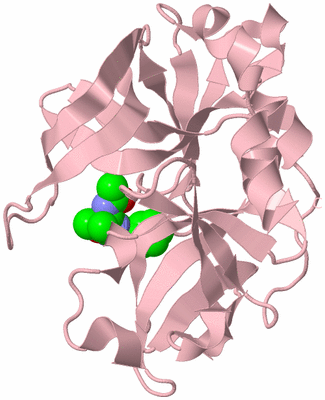 Image Biological Unit 3