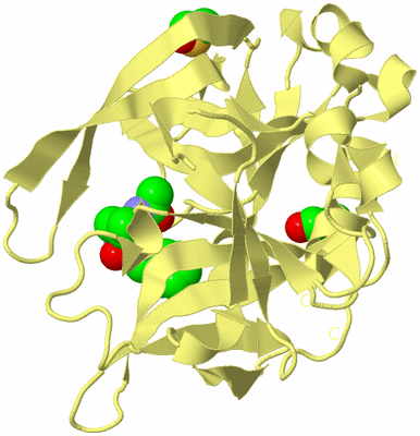 Image Biological Unit 4