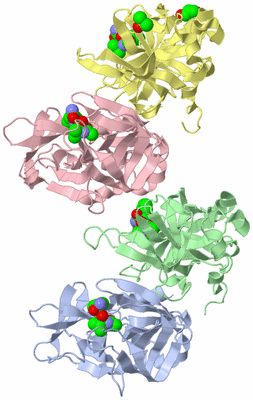 Image Biological Unit 5