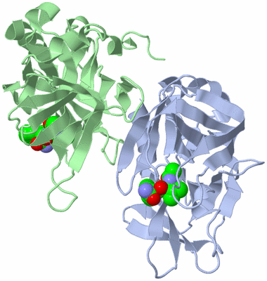 Image Biological Unit 6