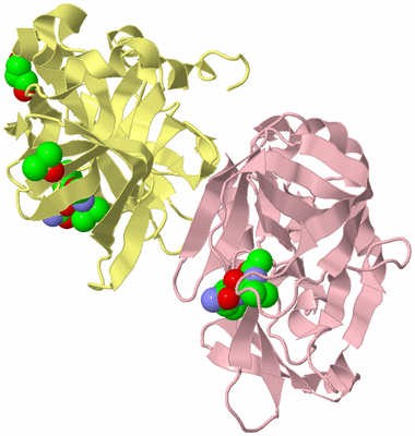 Image Biological Unit 7