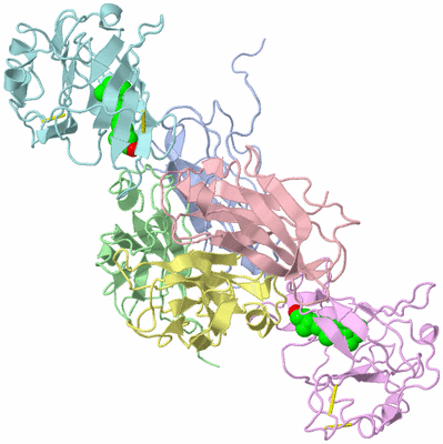 Image Asym./Biol. Unit