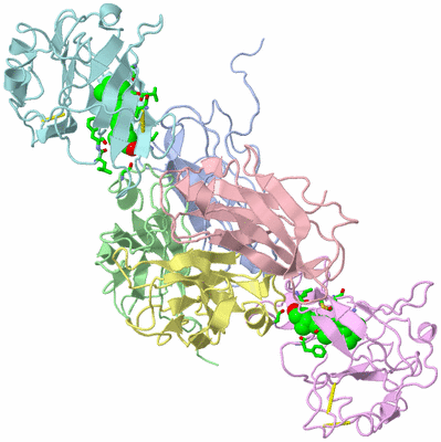 Image Asym./Biol. Unit - sites