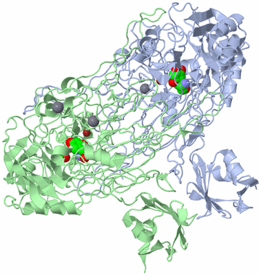 Image Asym./Biol. Unit