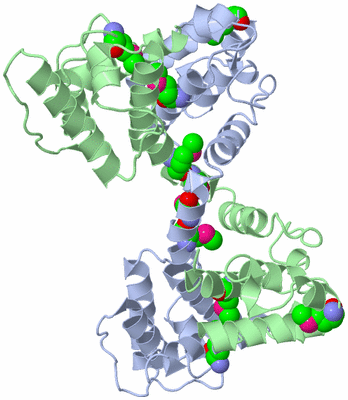 Image Biological Unit 3