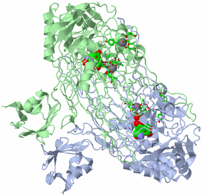 Image Asym./Biol. Unit - sites