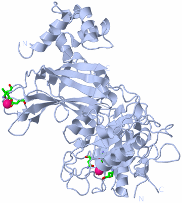 Image Biol. Unit 1 - sites