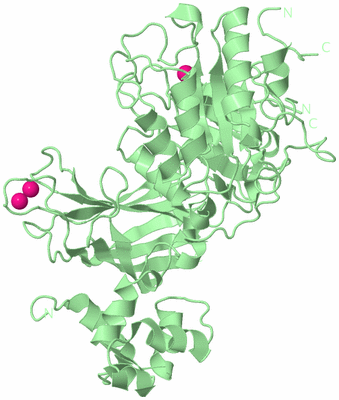 Image Biological Unit 2