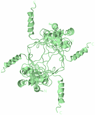 Image Biological Unit 3