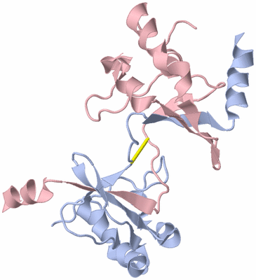 Image Biological Unit 4