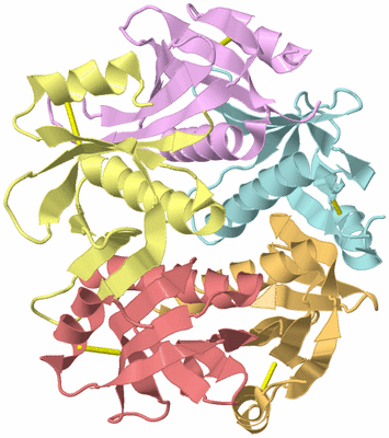 Image Asym./Biol. Unit