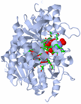 Image Biol. Unit 1 - sites