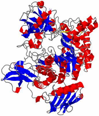 Image Asym./Biol. Unit