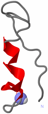 Image NMR Structure - all models