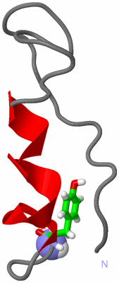 Image NMR Structure - model 1, sites