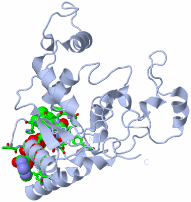 Image Biol. Unit 1 - sites