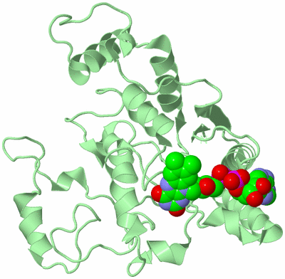 Image Biological Unit 2