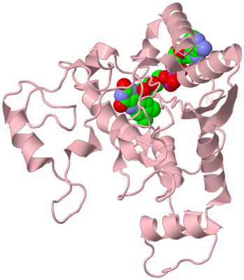 Image Biological Unit 3
