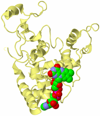 Image Biological Unit 4