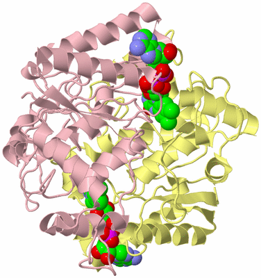 Image Biological Unit 5