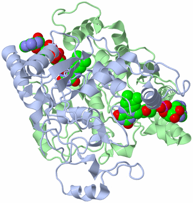 Image Biological Unit 6