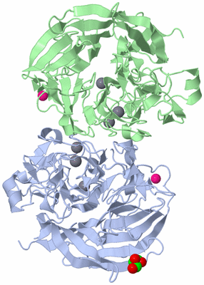 Image Asym./Biol. Unit