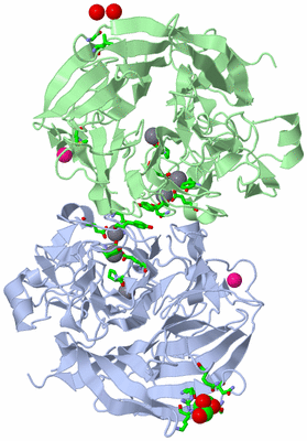 Image Asym./Biol. Unit - sites