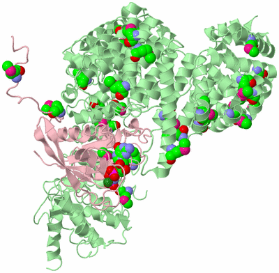 Image Biological Unit 1