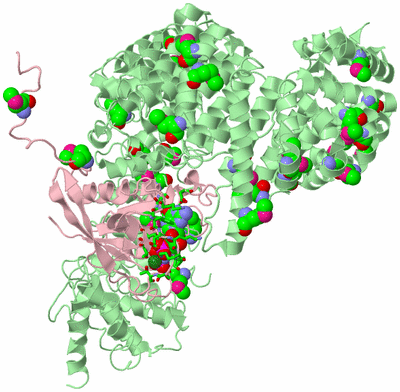 Image Biol. Unit 1 - sites