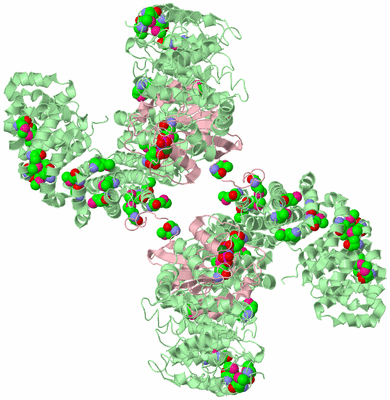 Image Biological Unit 2