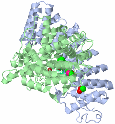 Image Asym./Biol. Unit