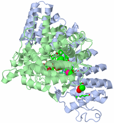 Image Asym./Biol. Unit - sites