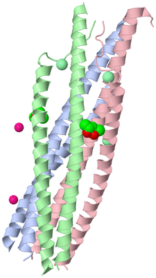 Image Asymmetric Unit