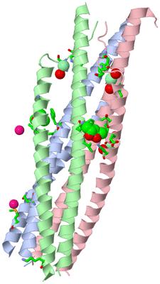 Image Asym. Unit - sites