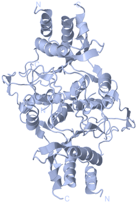 Image Biological Unit 1