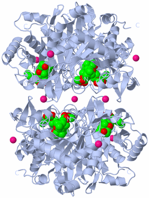 Image Biological Unit 2