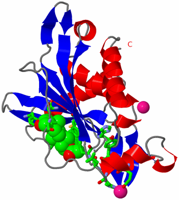 Image Asym. Unit - sites