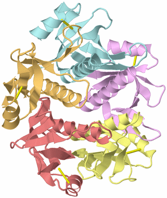 Image Asym./Biol. Unit