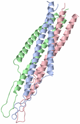Image NMR Structure - model 1