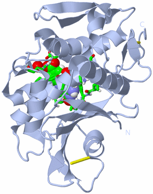 Image Biol. Unit 1 - sites